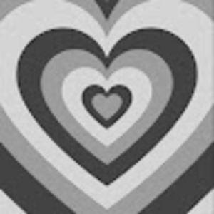 Meet your Posher, Maggie